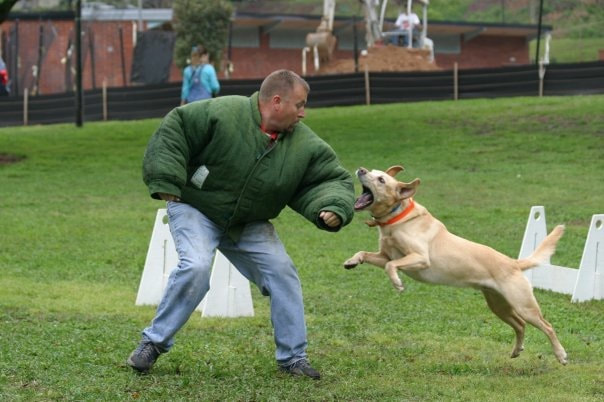 Kate Jackson Jabula Dog Academy